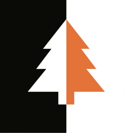 TP 250 PTO Woodchipper